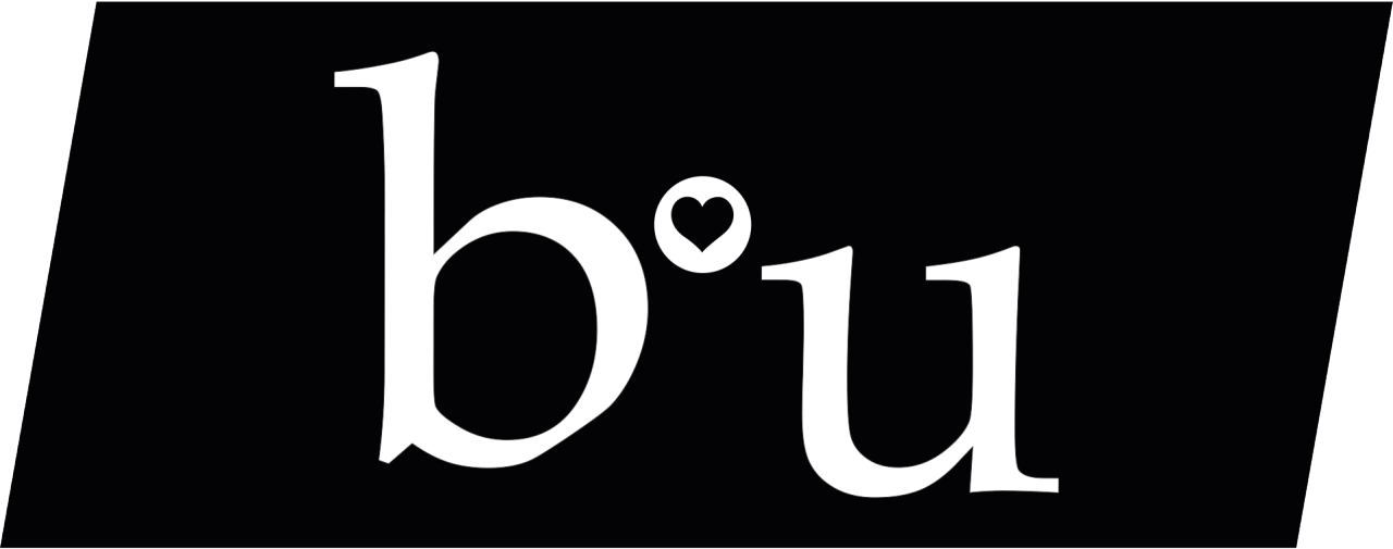 Learn more about the BVB partner B&U.